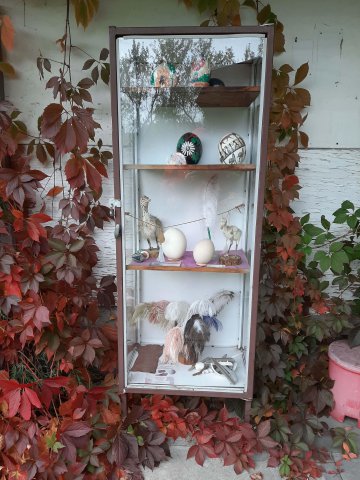 -20201012123612-201021-0_pl