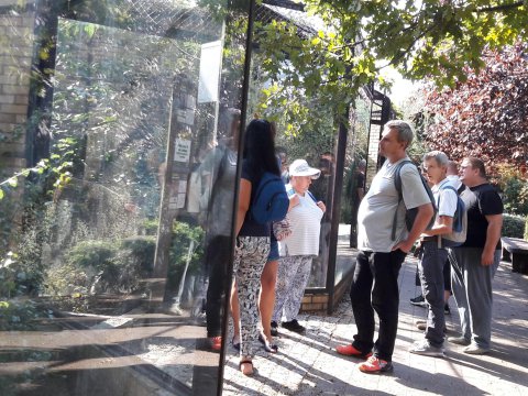 20180920105257-181003-0_pl