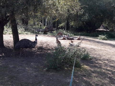 20180920120957-181003-0_pl