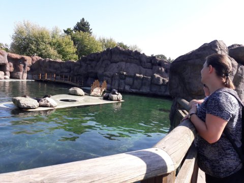 20180920123503-181003-0_pl