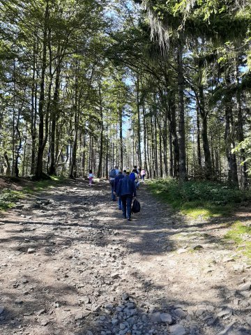 20200828105658-200915-0_pl