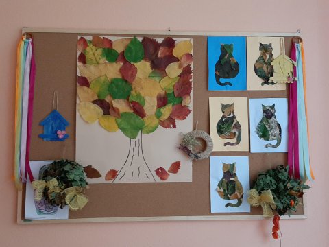 20201005134629-201008-0_pl