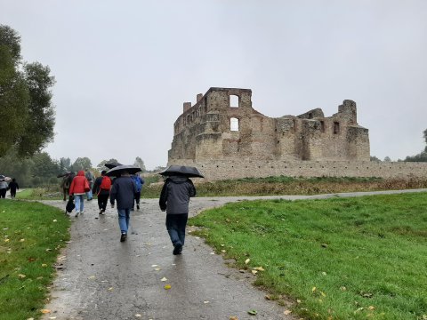 20201012091410-201021-0_pl