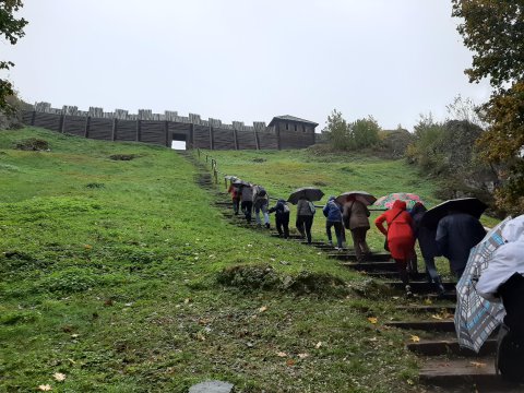 20201012103306-210514-0_pl