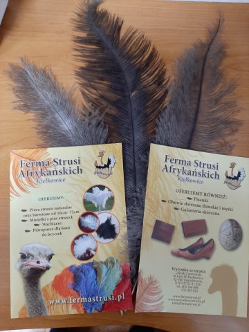 20201014082224-201021-0_pl