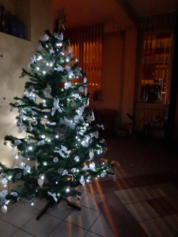 20201209055024-201210-0_pl