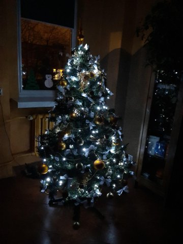 20201209055300-201210-0_pl