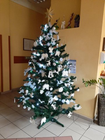 20201209093233-201210-0_pl