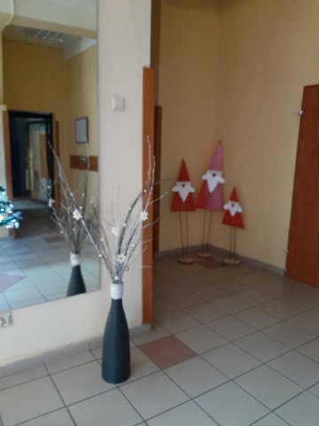 20201209093249-201210-0_pl