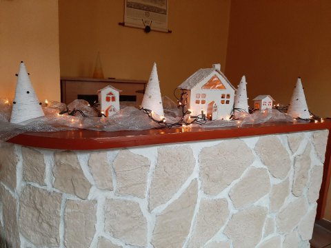 20201209093451-201210-0_pl