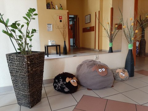 20210330134037-210407-0_pl