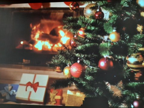 20211206105528-211207-0_pl