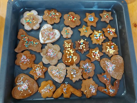 IMG-20221215-WA0015_pl