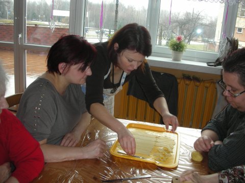 dscn1971-170225-0_pl