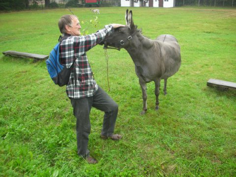 dscn2635-170917-0_pl