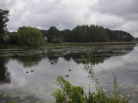 dscn2653-170917-0_pl