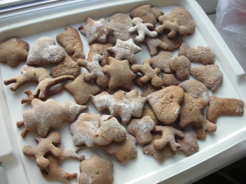 dscn2986-181210-0_pl