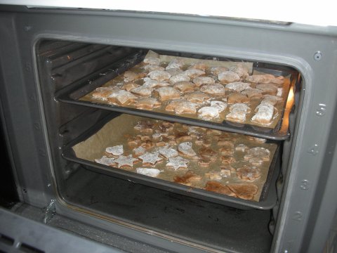 dscn2987-181210-0_pl