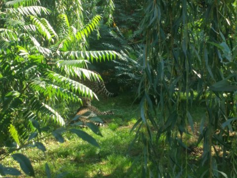 img-20180920-wa0018-181003-0_pl