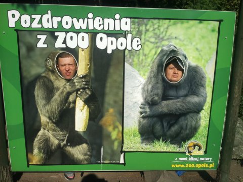 img-20180920-wa0041-181003-0_pl