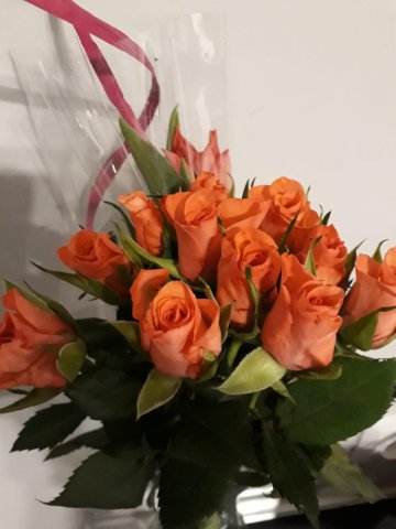 img-20190308-wa0037-190314-0_pl